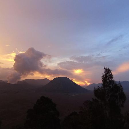 Bromo Holiday Guest House Ngadisari Luaran gambar